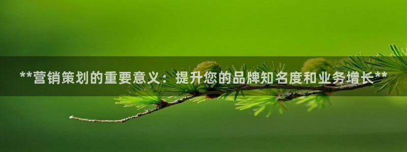 必赢国际游戏技巧：**营销策划
