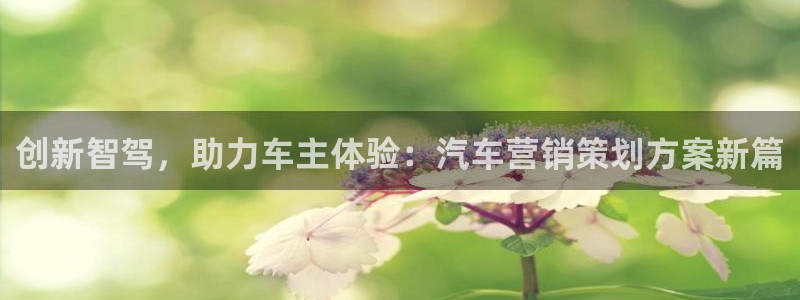 必赢.apk：创新智驾，助力车
