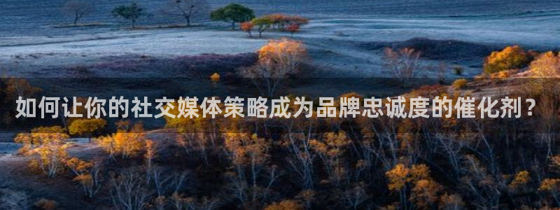 必赢国际官网登录