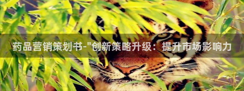 必赢国际a600典cc注册