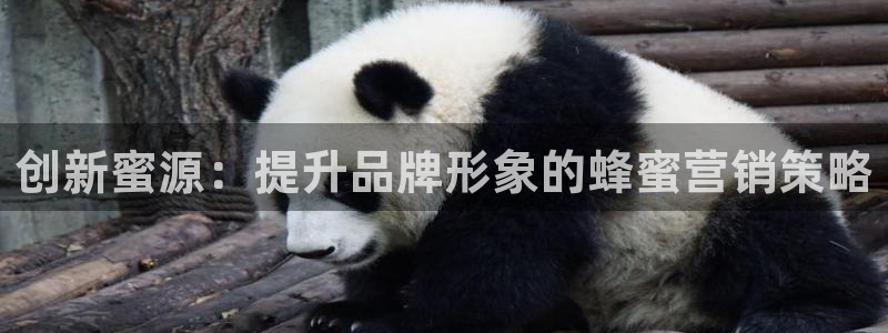 必赢集团菲律宾